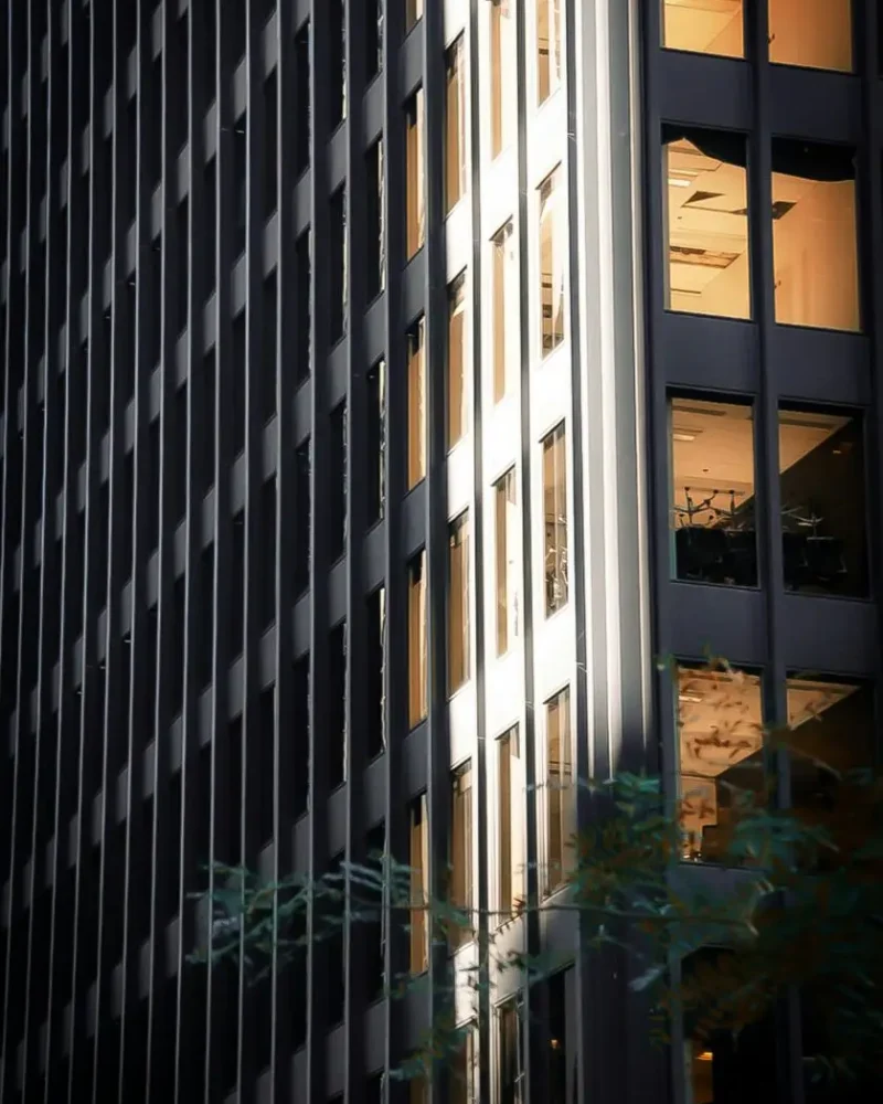 meri-vasilevski-QjRLuIMn3x4-unsplash